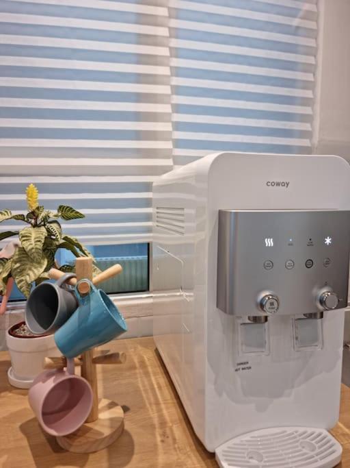 The Cotton Bleu Homestay Kuala Terengganu Ngoại thất bức ảnh